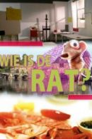 Rondleiding Mondriaanhuis – Lunch  – Wie is de Rat spel in Amersfoort