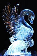 Workshop IJssculpturen maken in Amersfoort